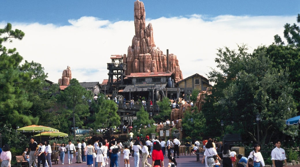 东京迪士尼乐园