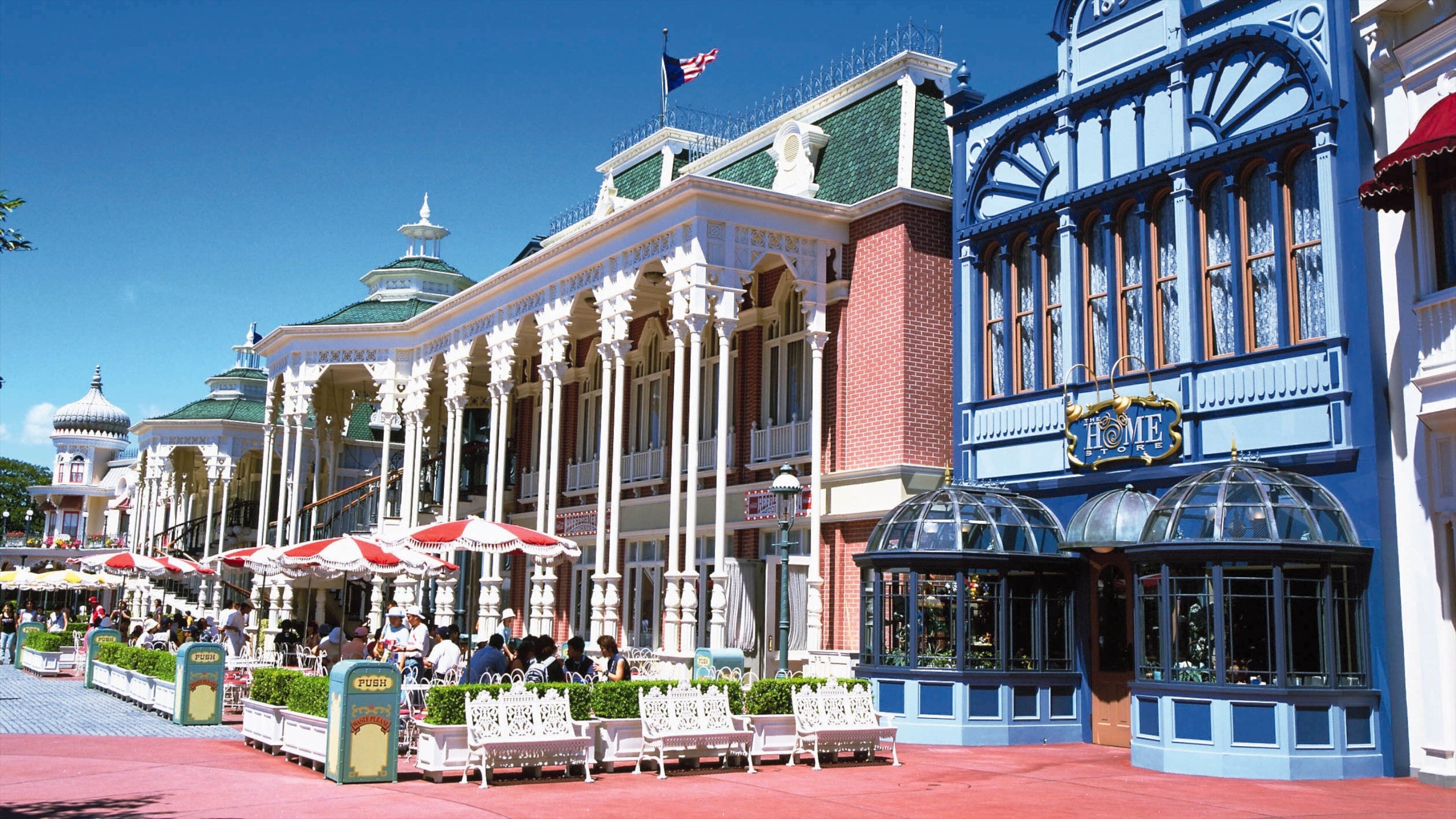 Disneyland® Tokyo which includes rides and café scenes