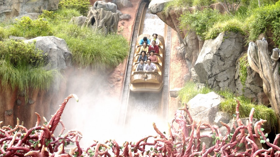 Disneyland® Tokyo featuring rides as well as a small group of people