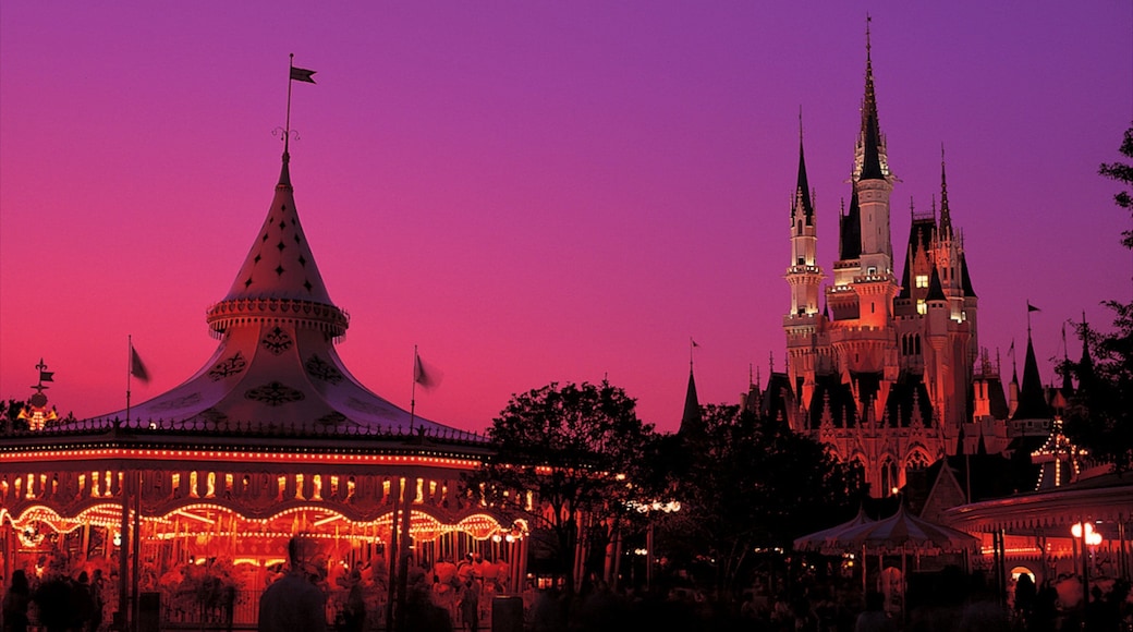 Tokyo Disneyland® featuring rides and night scenes