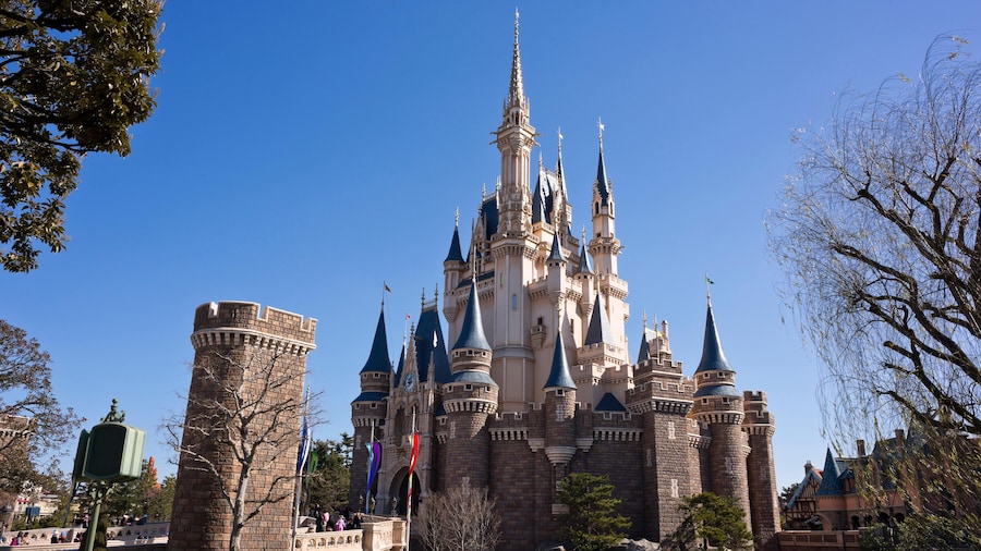 DisneylandÂź Tokyo