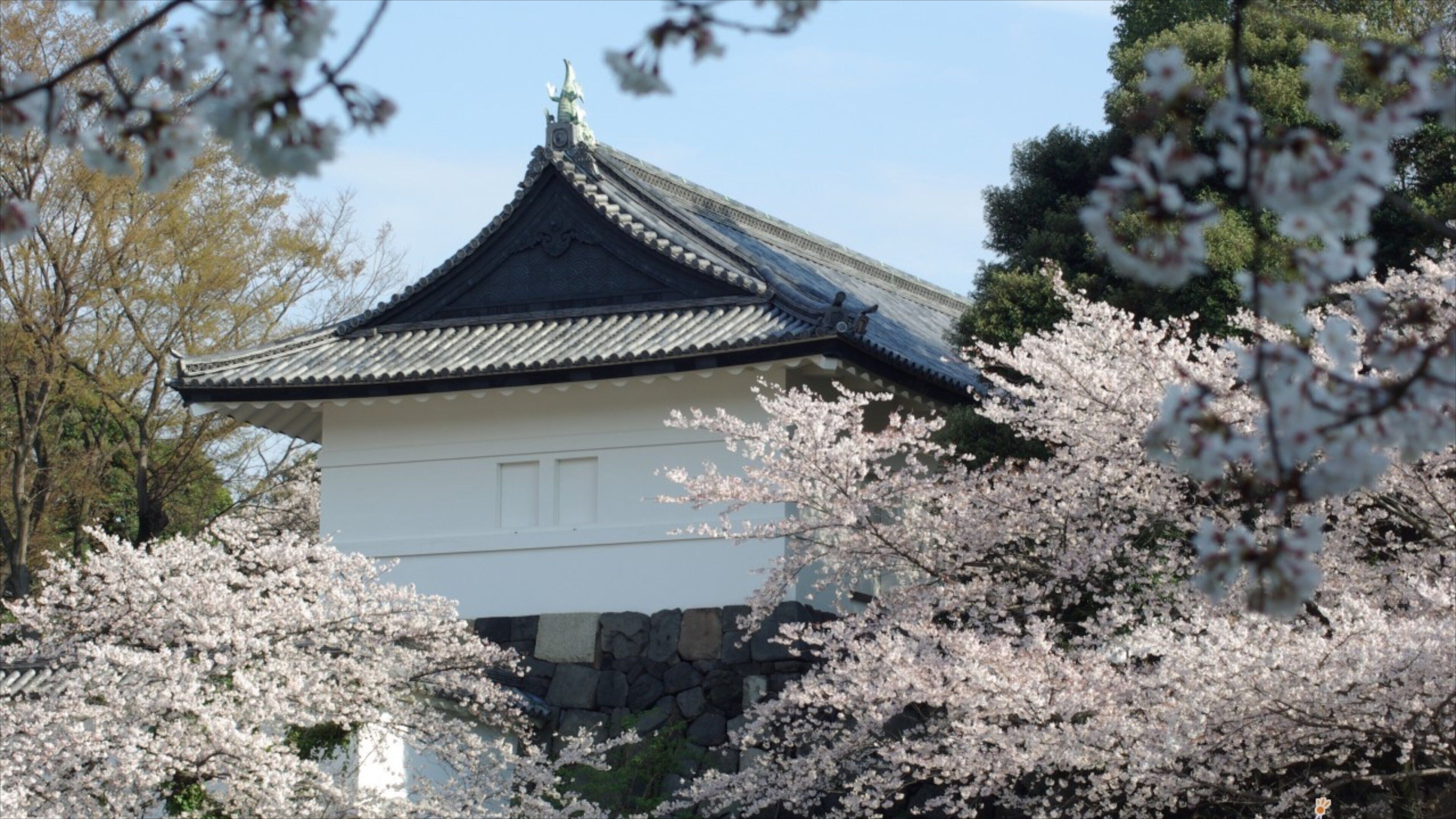 Tokyo Imperial Palace showing flowers and a castle