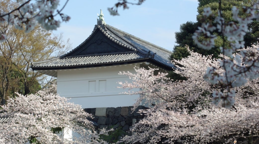 Tokyo Imperial Palace showing flowers and a castle