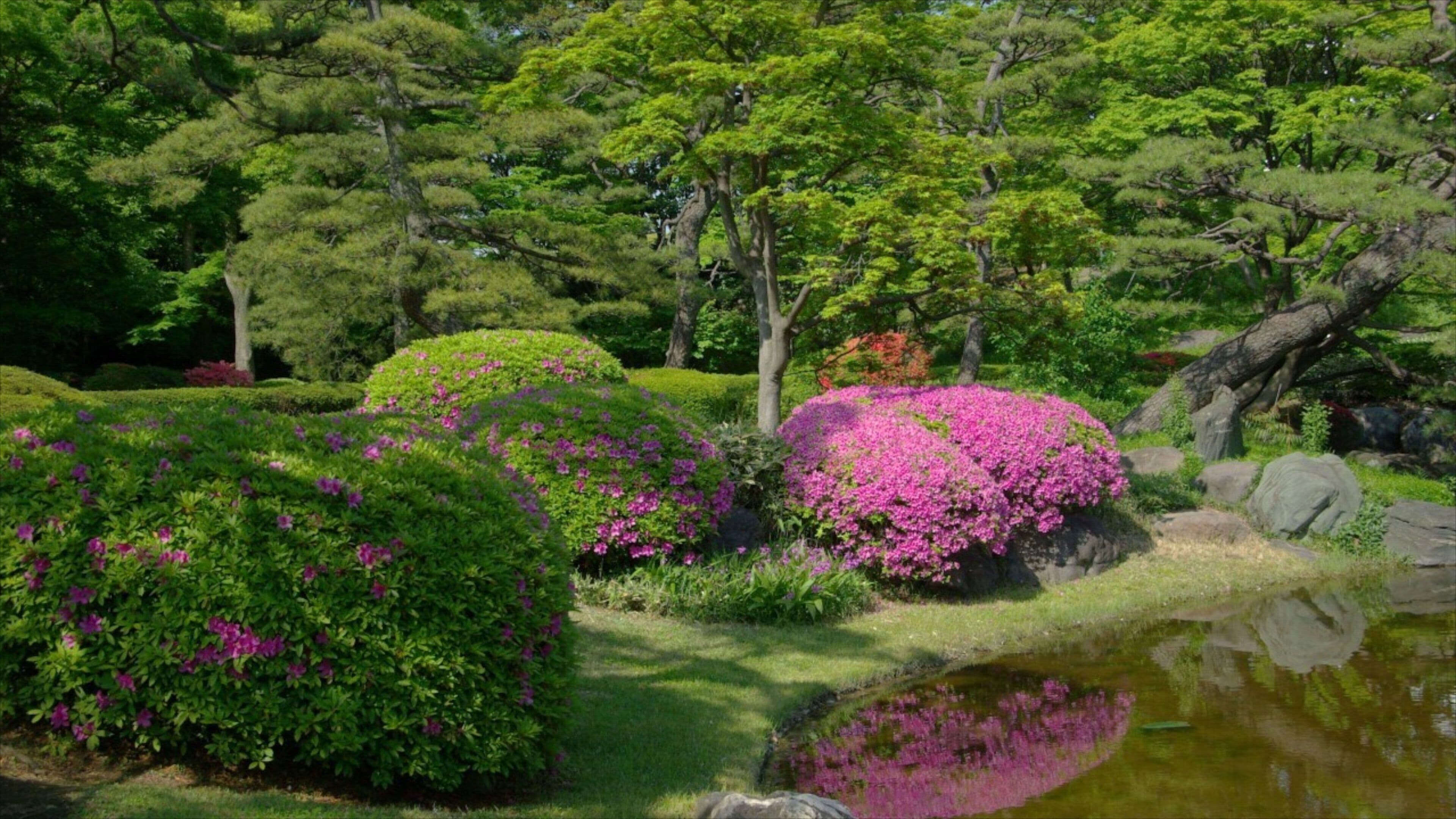 Tokyo Imperial Palace featuring a garden