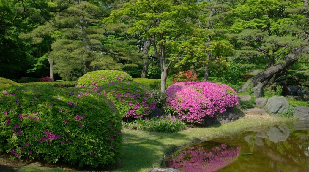 Palacio Imperial de Tokio mostrando un parque
