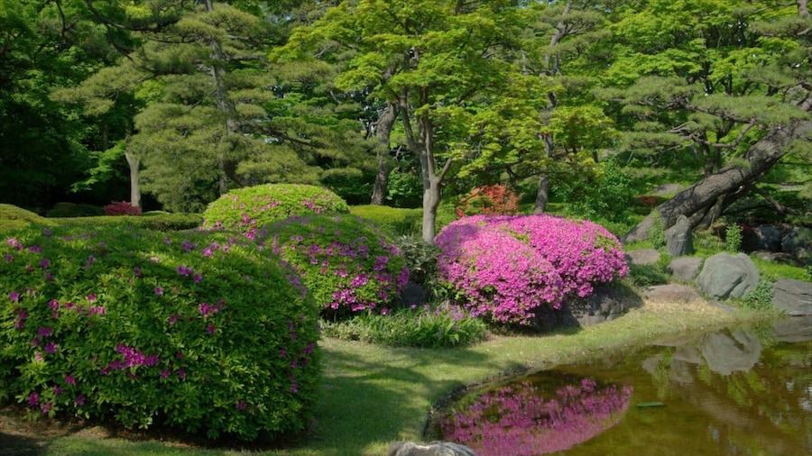 Tokyo Imperial Palace featuring a garden