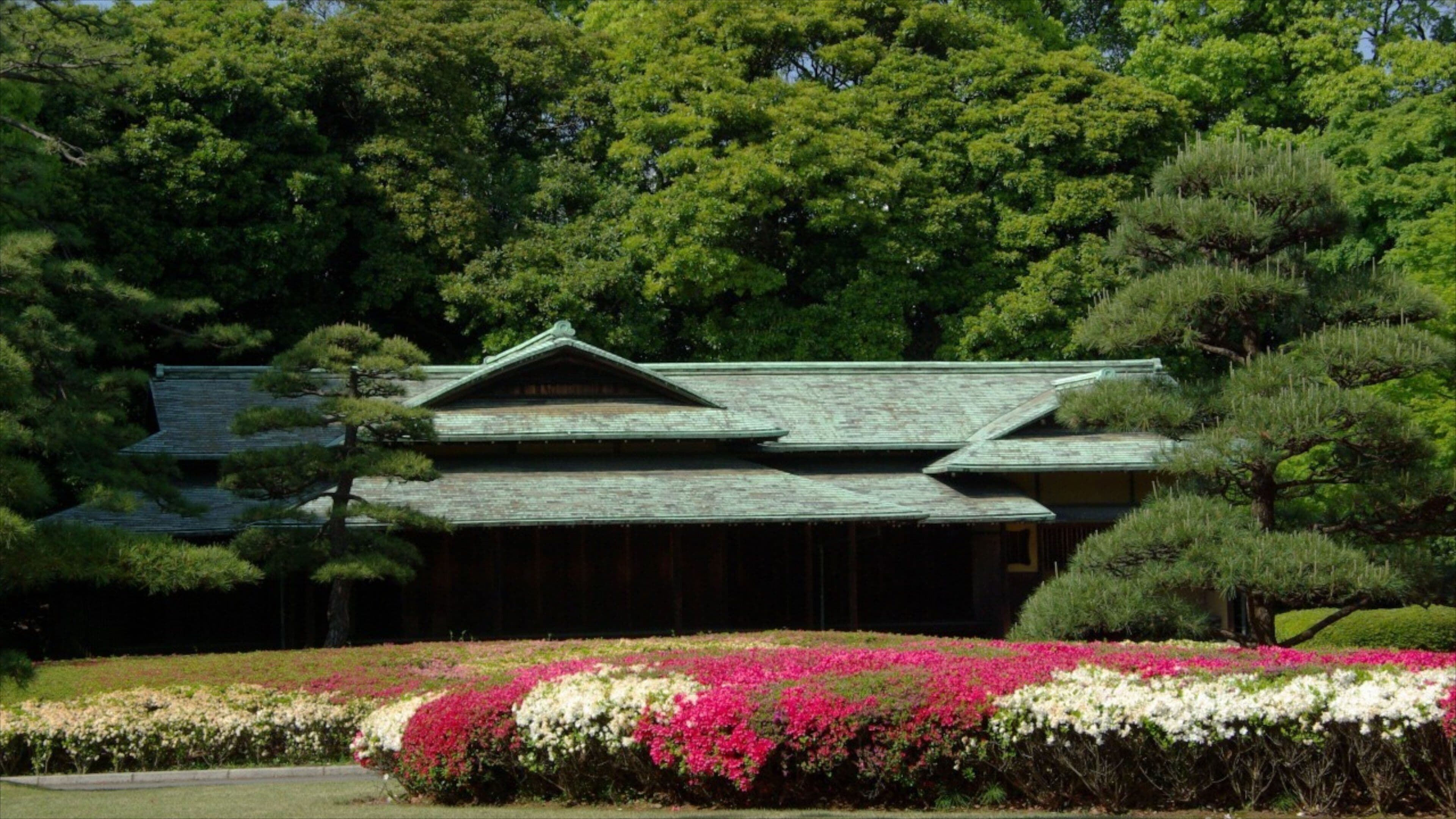 Tokyo Imperial Palace which includes chateau or palace and flowers