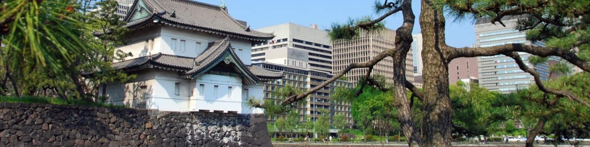 Tokyo Imperial Palace featuring a garden and a lake or waterhole