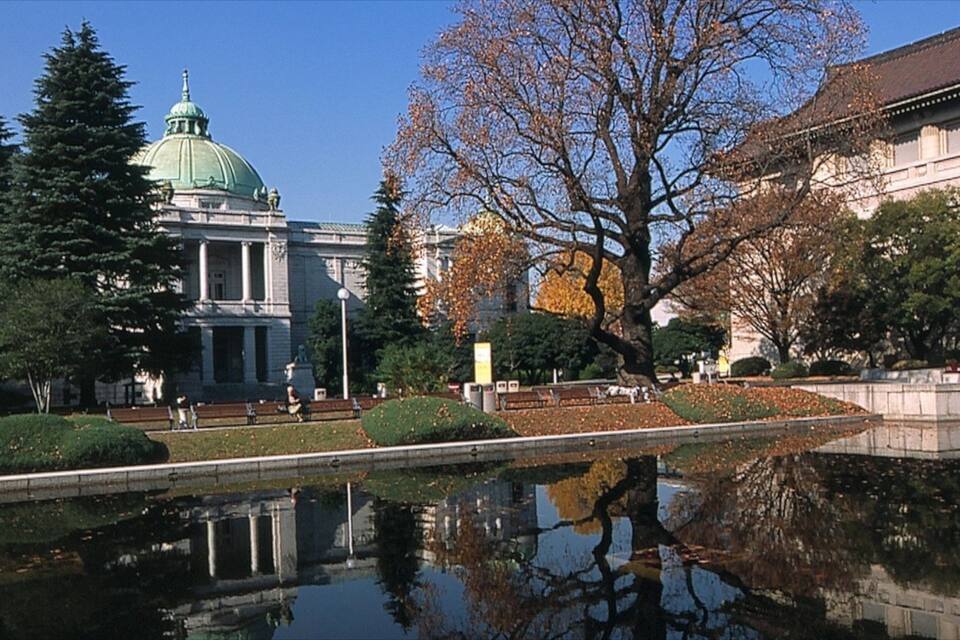 A classical building with a green dome, a pond reflecting the structure, and autumn trees.