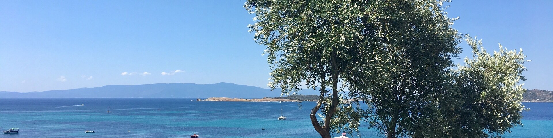 Eine Küstenlandschaft mit blauem Meer, Booten und einem markanten Olivenbaum.