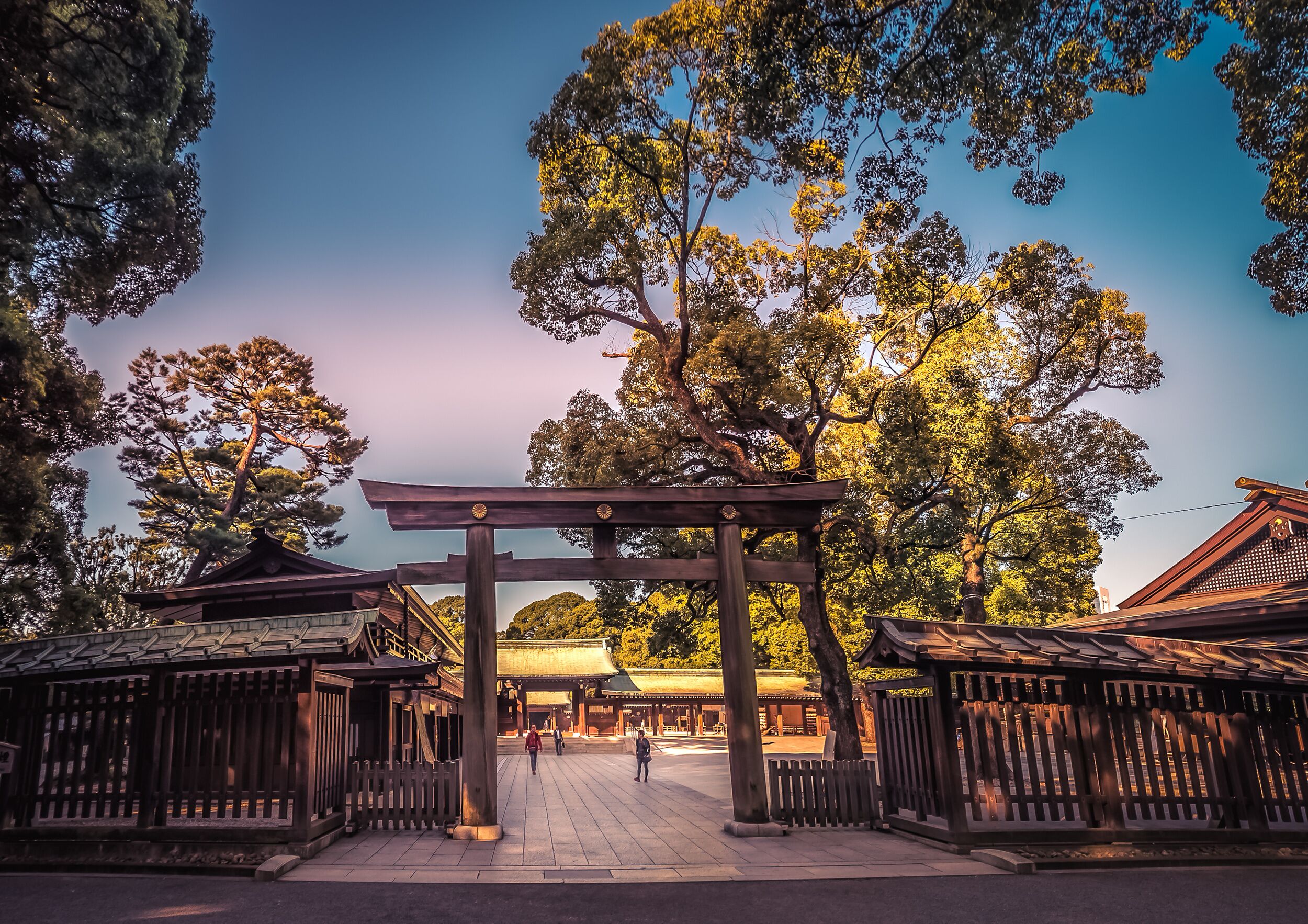 Meiji Jingu Shrine Tours - Book Now | Expedia