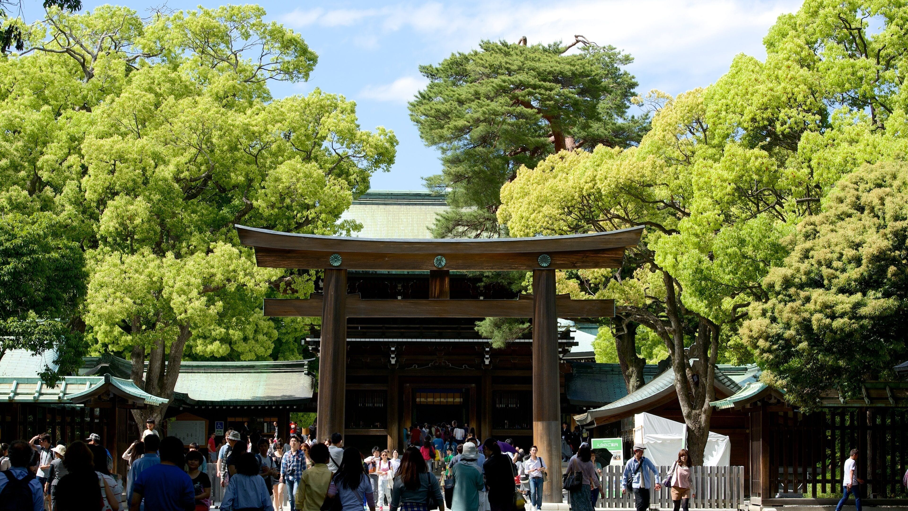 Meiji Jingu Shrine featuring street scenes, a temple or place of worship and heritage architecture