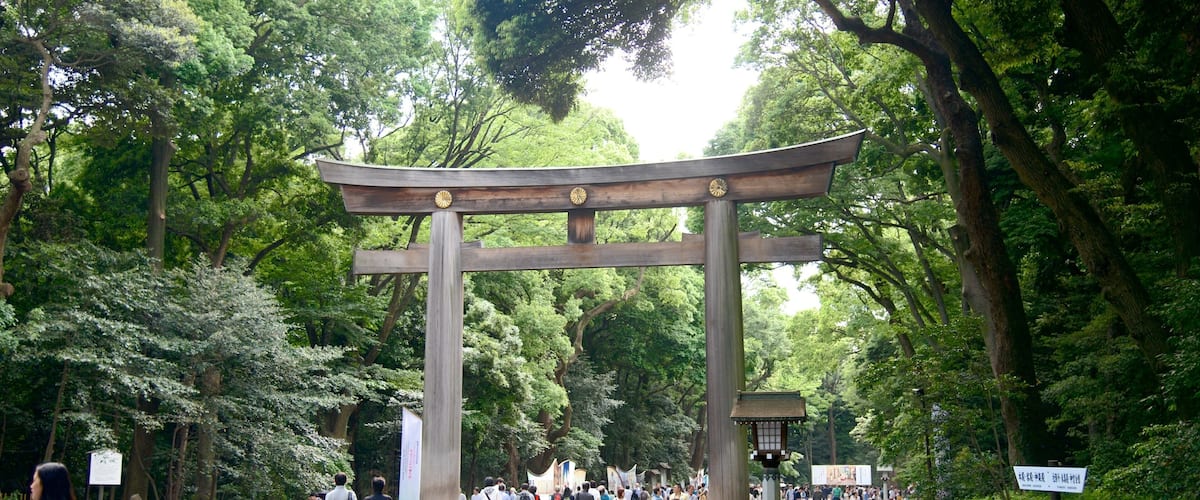 Santuario de Meiji Jingu ofreciendo elementos religiosos