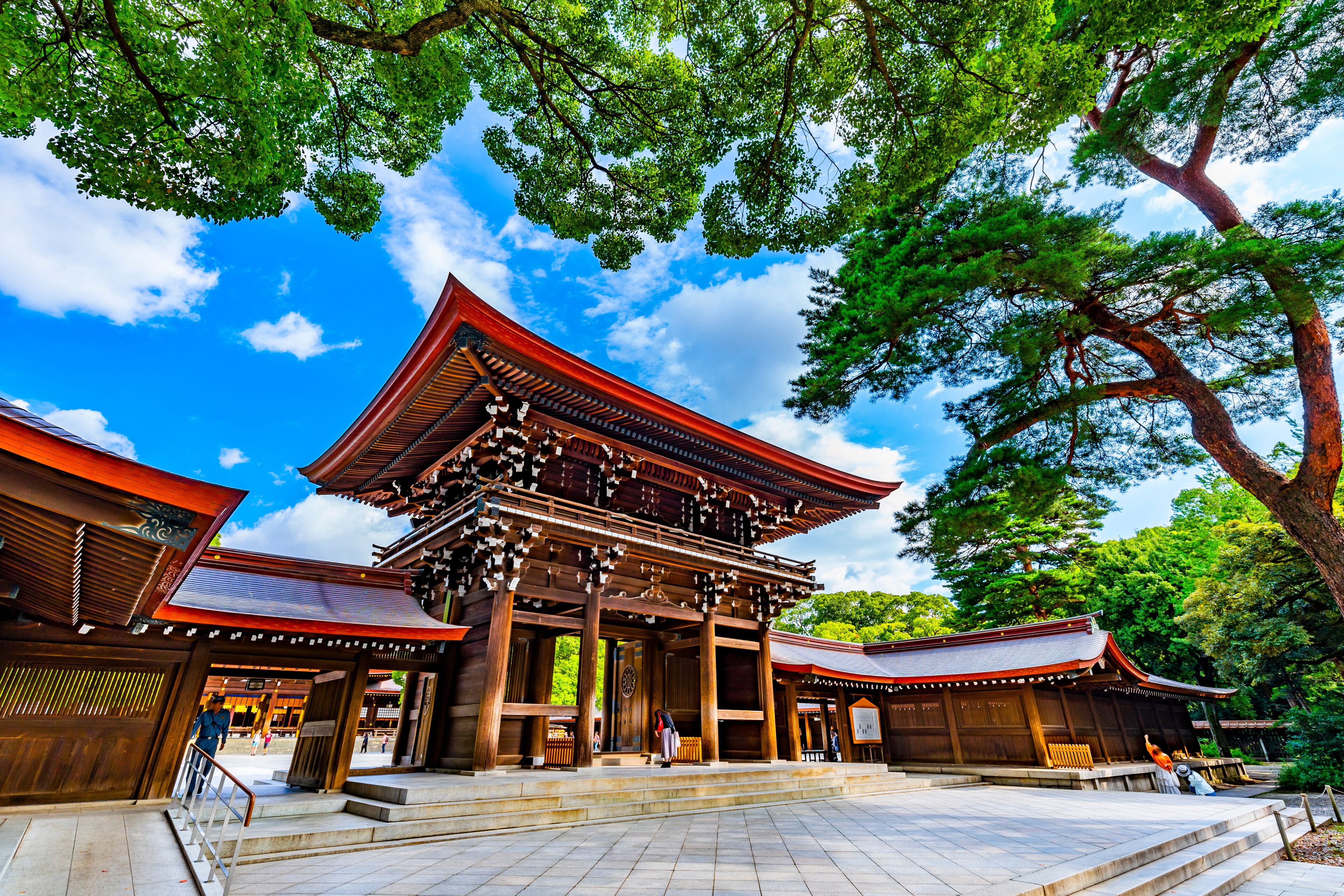 Meiji Jingu Shrine in Shibuya - Tours and Activities | Expedia.ca