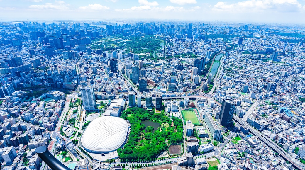 東京ドーム・空撮写真