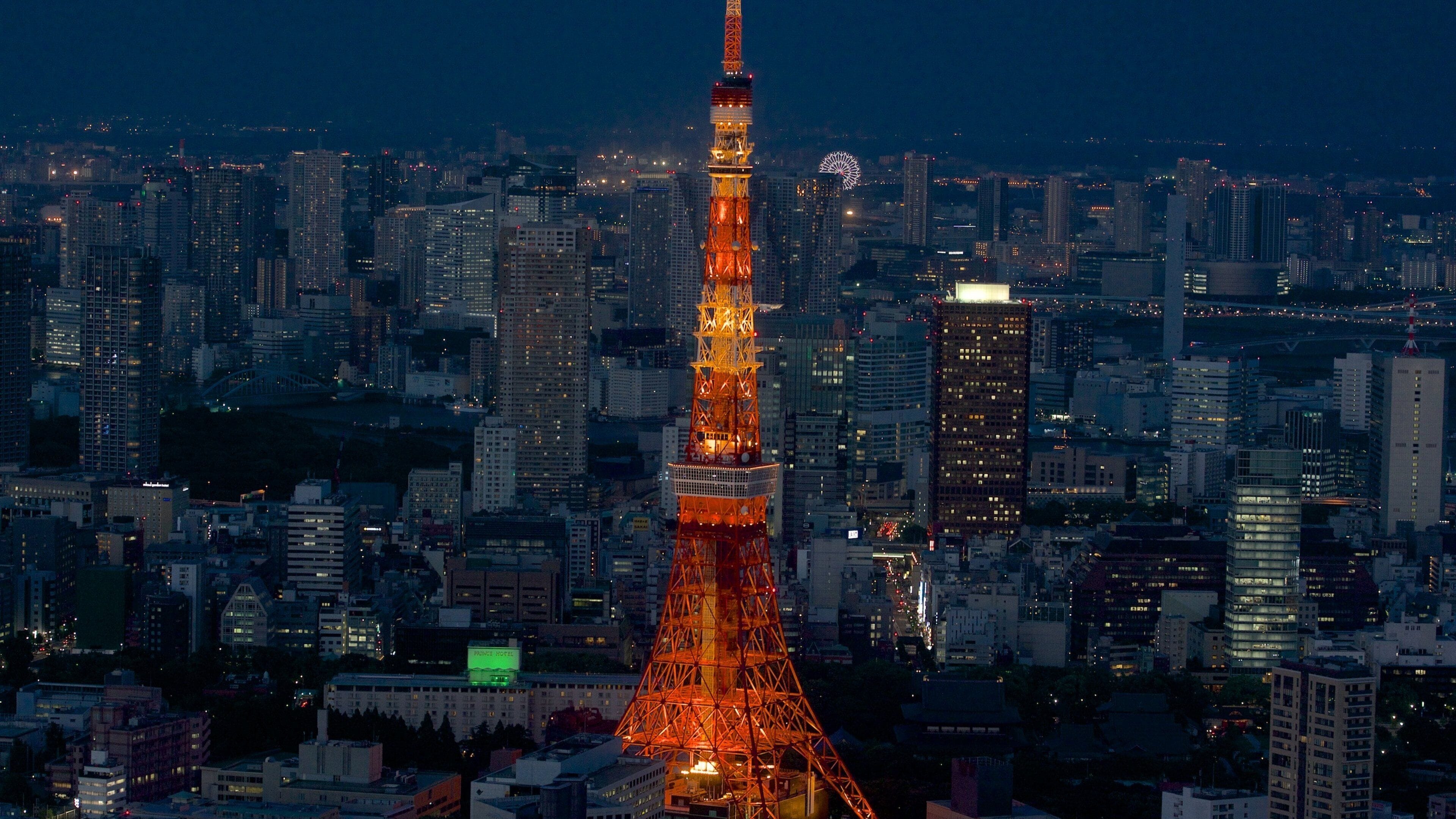 Tokyo Tower which includes night scenes, a skyscraper and cbd
