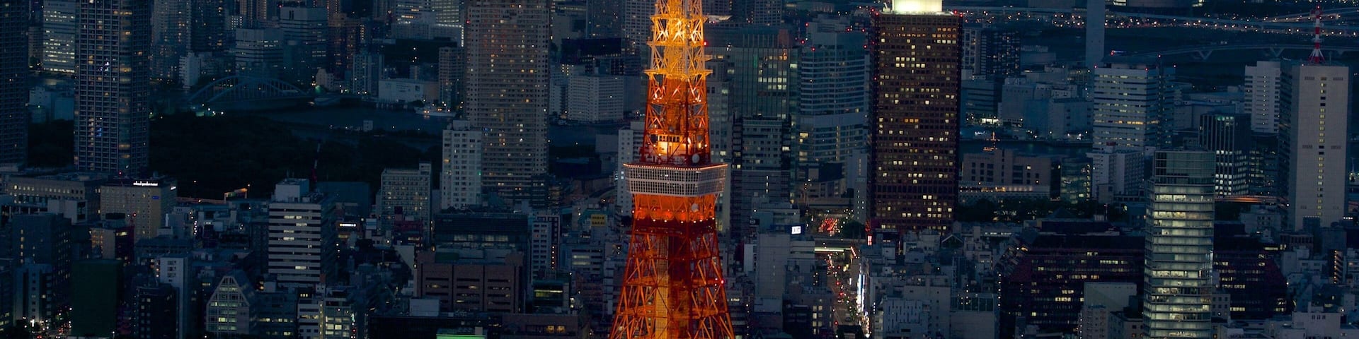Tokyo Tower which includes night scenes, a skyscraper and cbd
