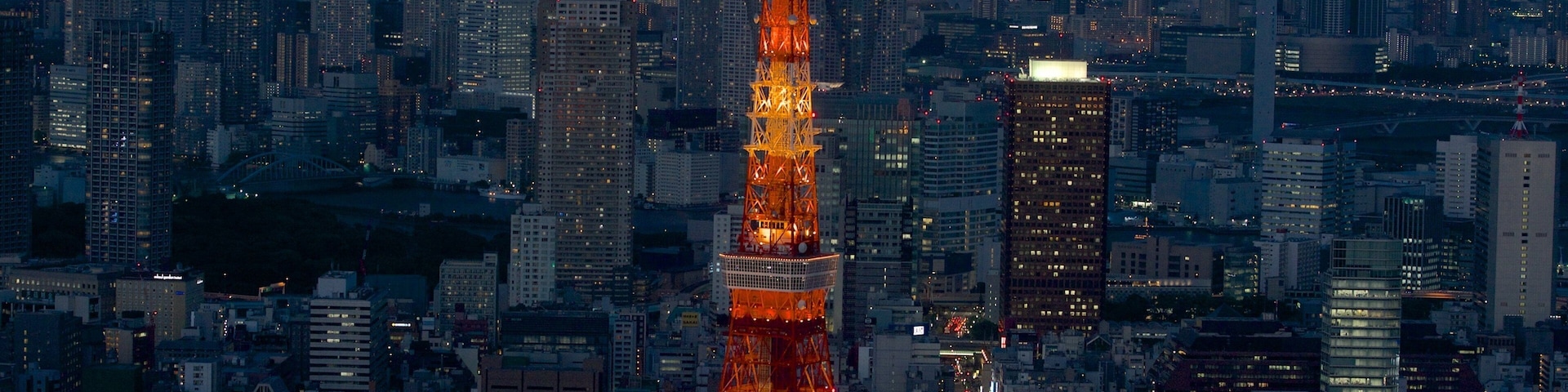 Tokyo Tower which includes night scenes, a skyscraper and cbd