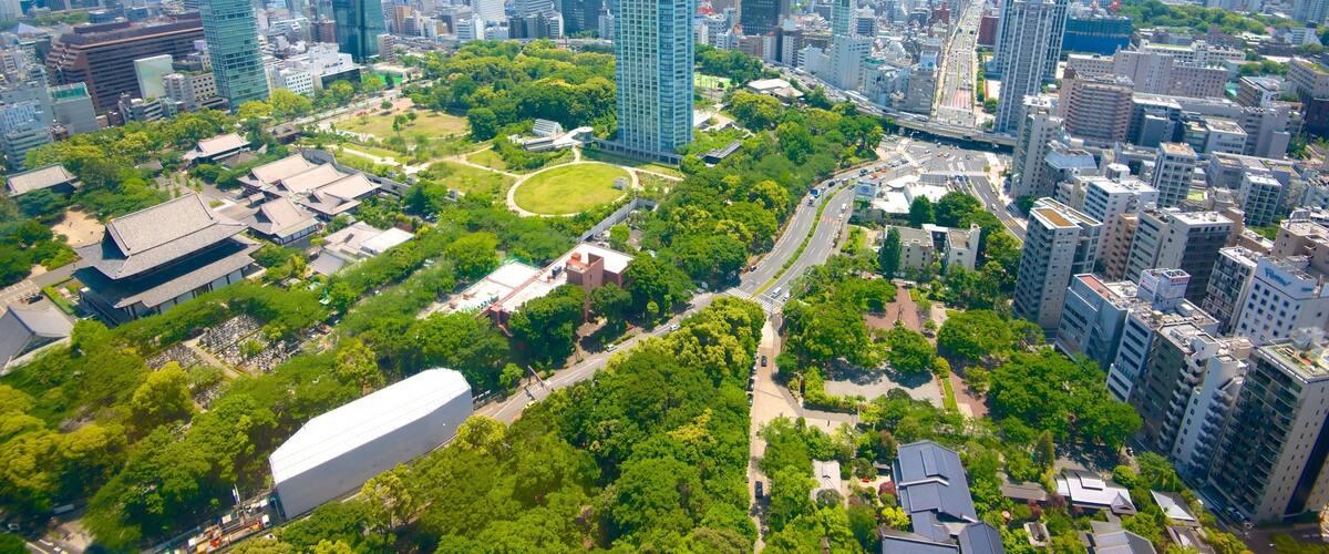 Tokyo Tower which includes central business district, a city and a skyscraper