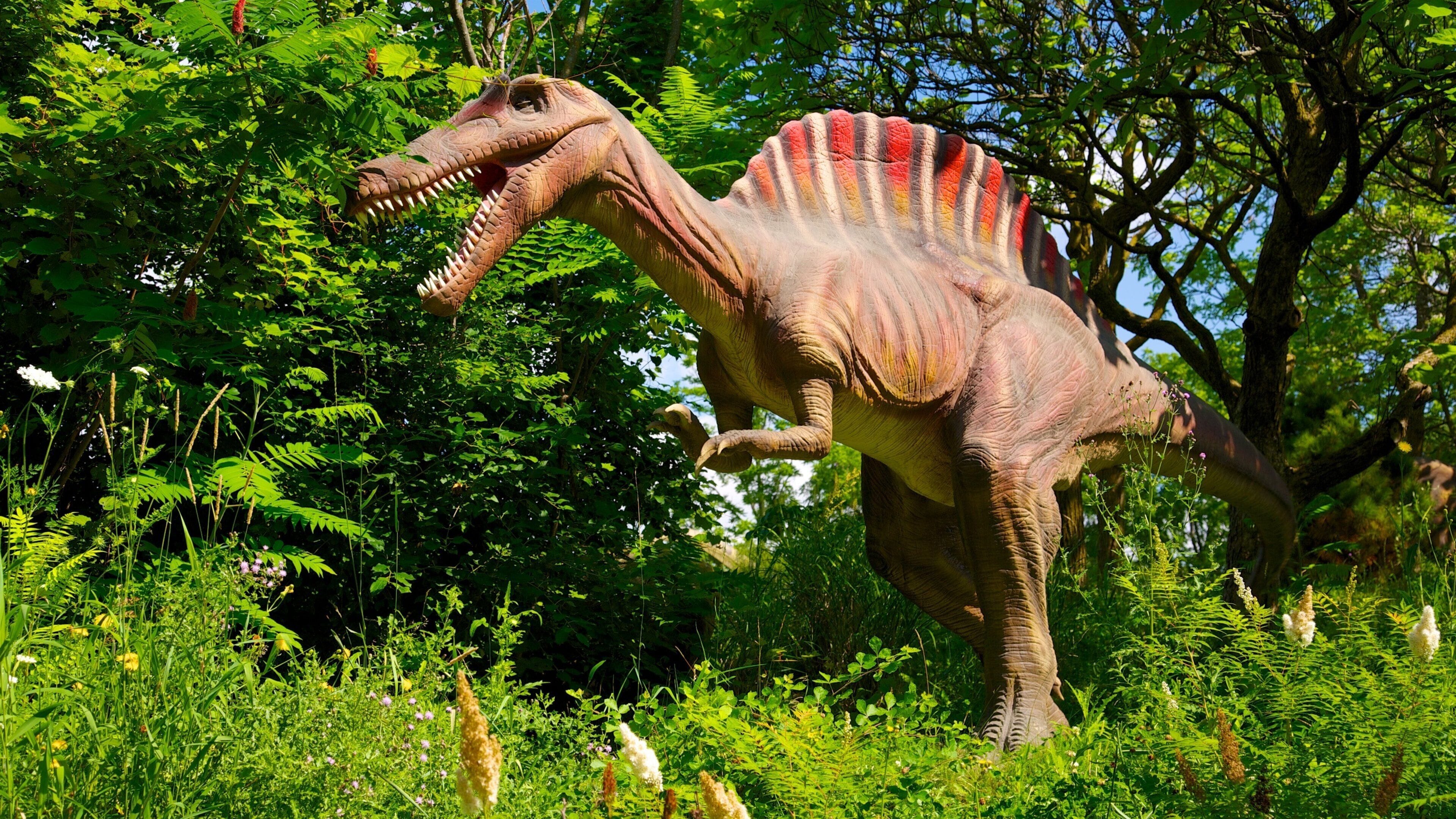 加拿大奇幻乐园