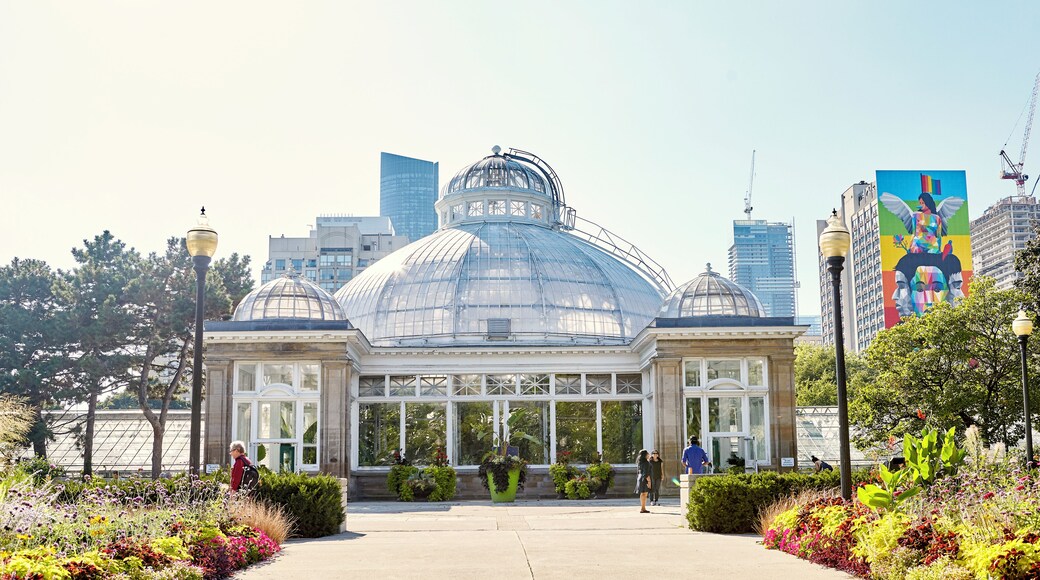 Allan Gardens
