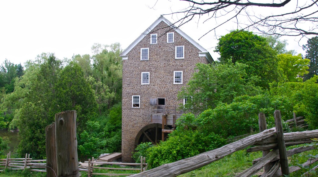 Làng Tiên phong Black Creek