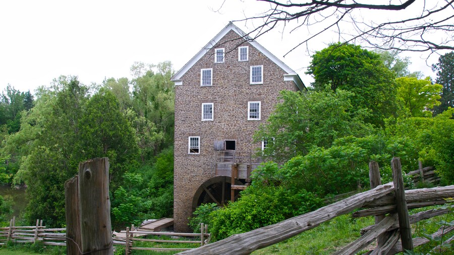 Desa Perintis Black Creek