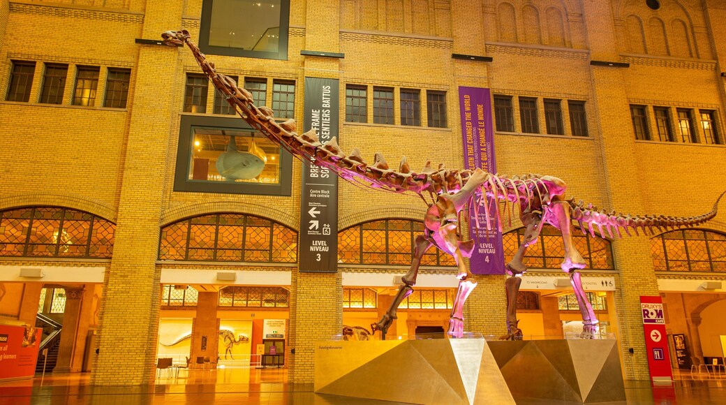 Royal Ontario Museum featuring heritage elements and interior views