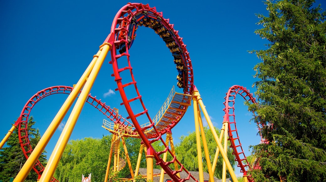 CN Tower which includes rides