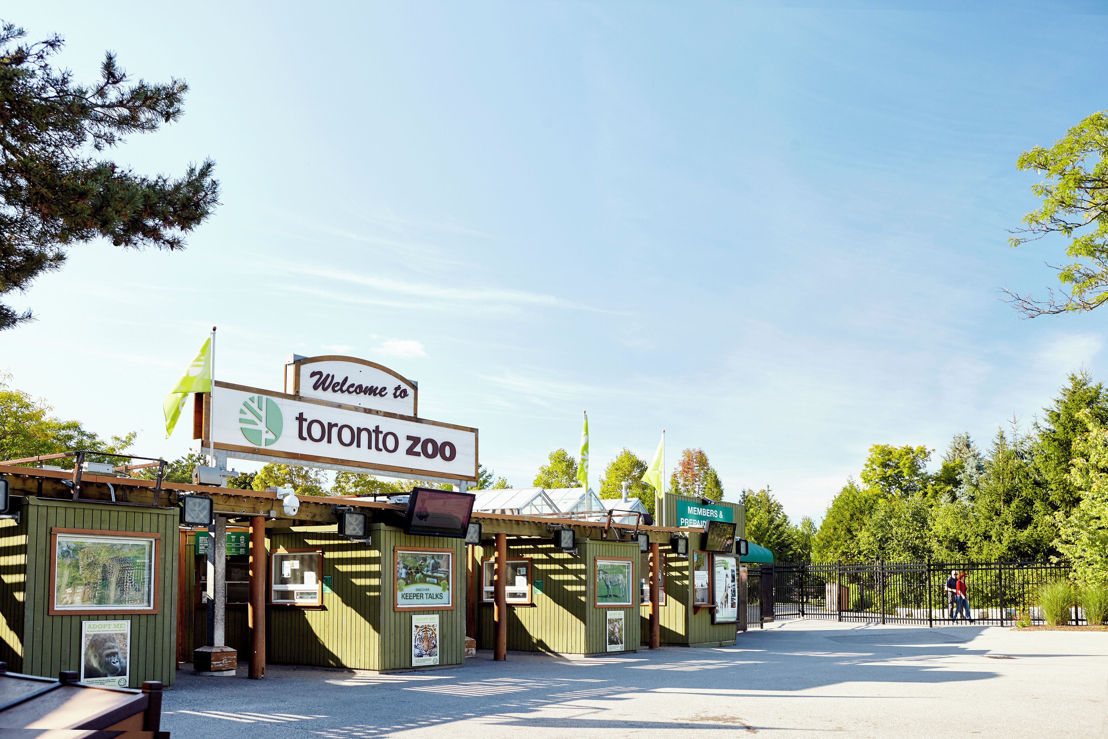 EyeEm Custom Shoots Q4 2018