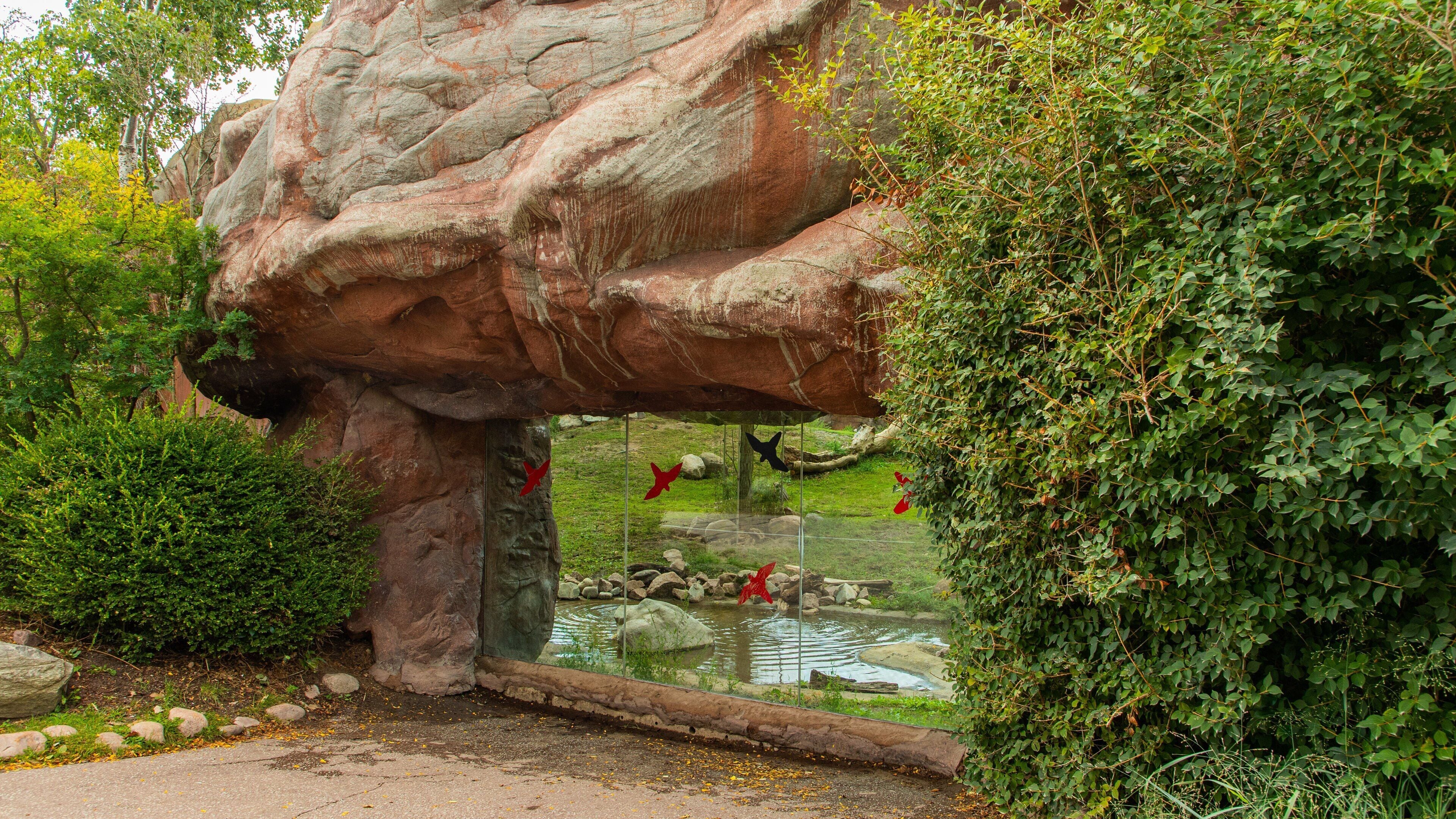 Toronto Zoo showing zoo animals