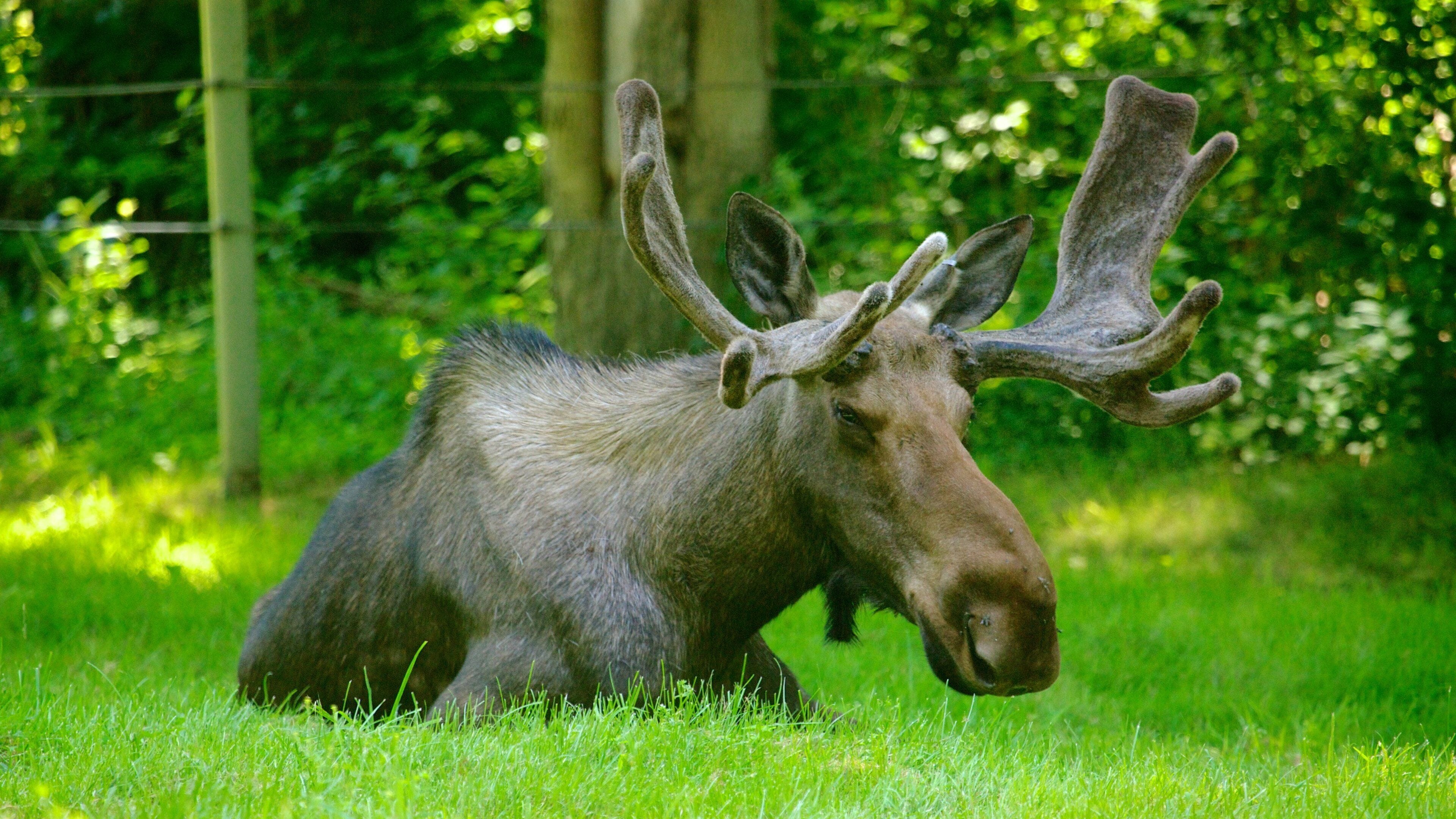Toronto Zoo which includes land animals and zoo animals