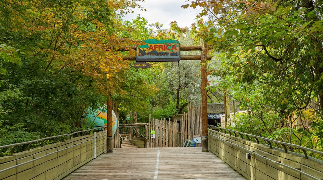 Toronto Zoo showing zoo animals and signage