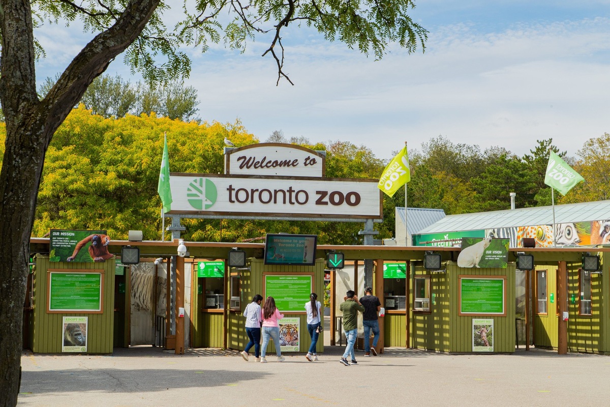 Toronto: Toronto Zoo Entry Ticket