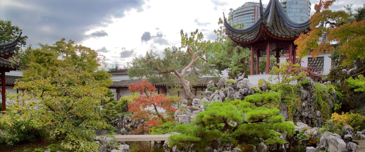 Dr. Sun Yat-Sen Classical Chinese Garden joka esittää lampi ja puisto