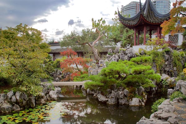 Dr. Sun Yat-Sen Classical Chinese Garden welches beinhaltet Teich und Garten