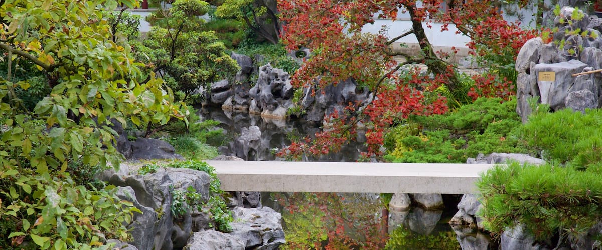 Dr. Sun Yat-Sen Classical Chinese Garden featuring a garden and a pond