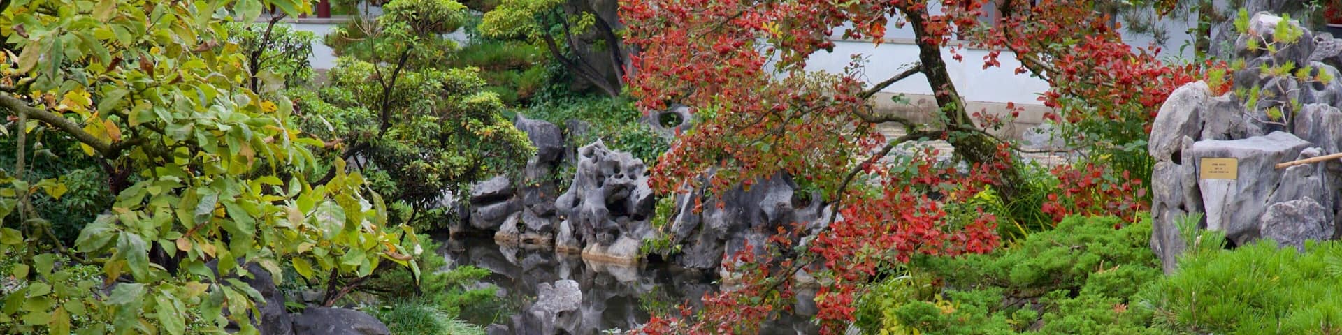 Dr. Sun Yat-Sen Classical Chinese Garden featuring a garden and a pond