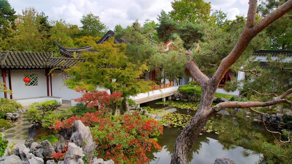 Dr. Sun Yat-Sen Classical Chinese Garden mostrando um jardim