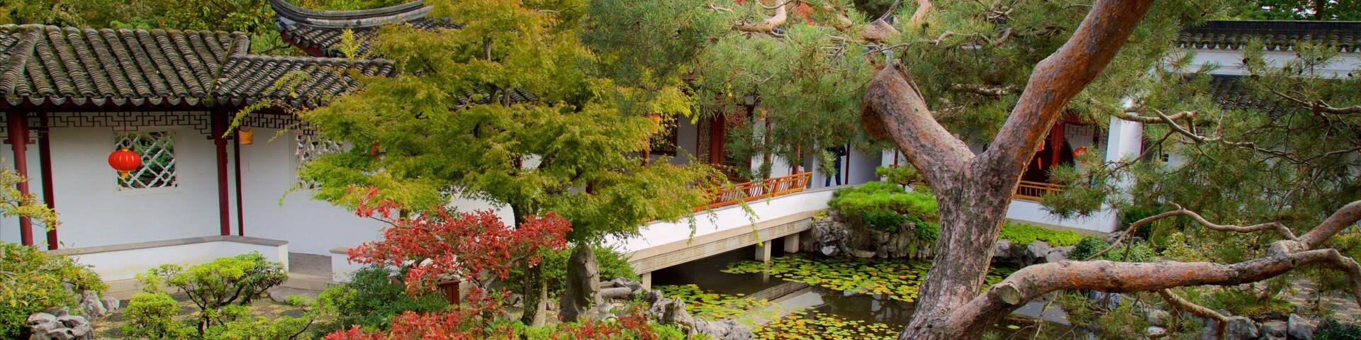 Dr. Sun Yat-Sen Classical Chinese Garden showing a park