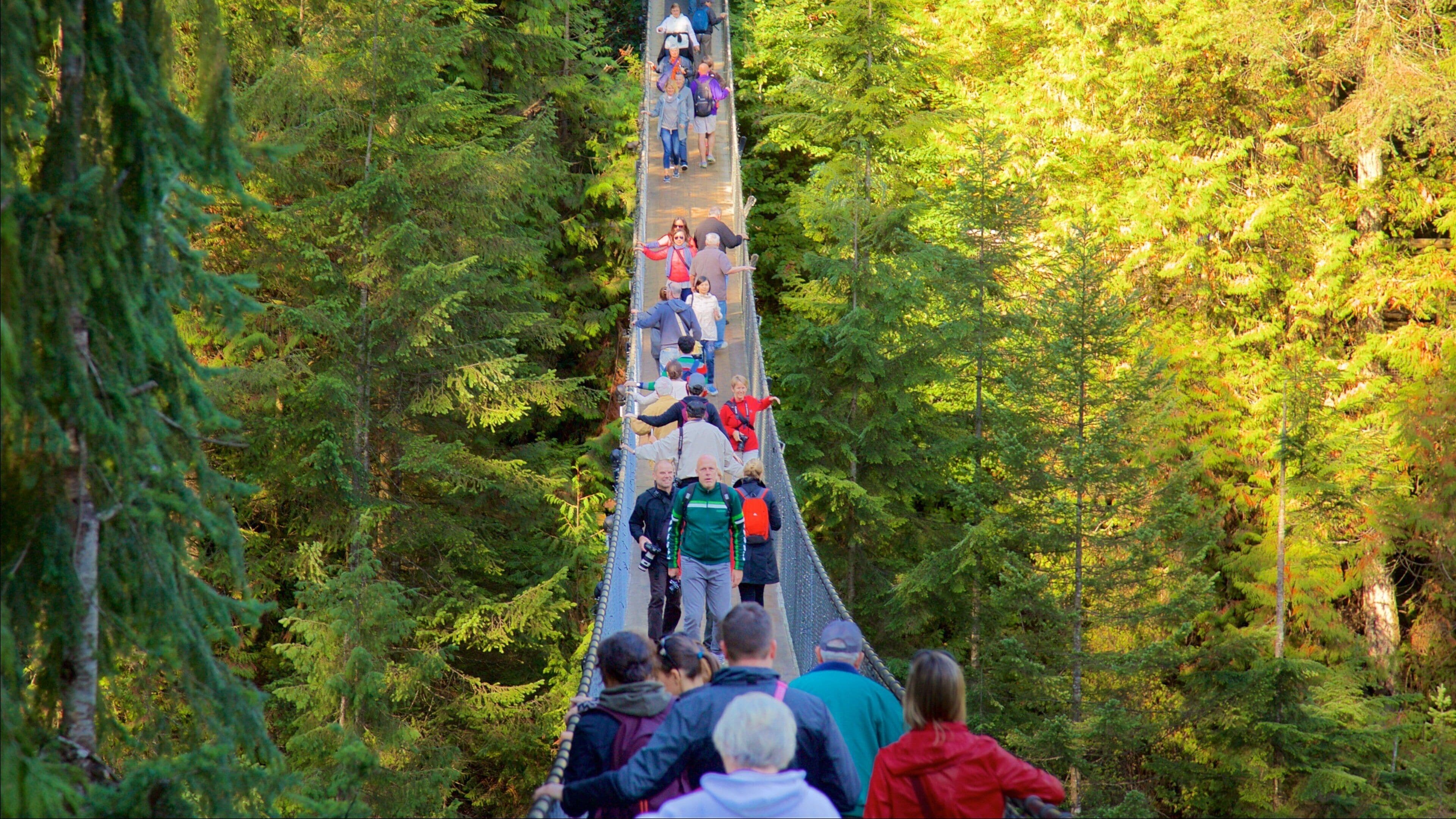 Capilano Suspension Bridge featuring forests and a suspension bridge or treetop walkway as well as a large group of people