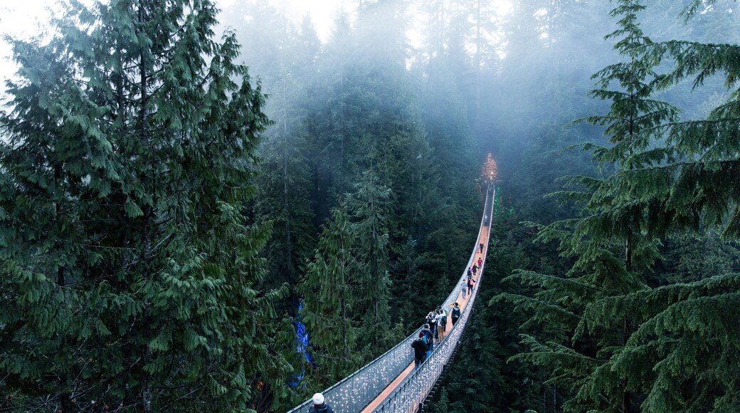 Capilano suspension bridge Vancouver, British Columbia Canada. Suspension bridge on a foggy and misty day. Bridge in the forest surrounded by nature.