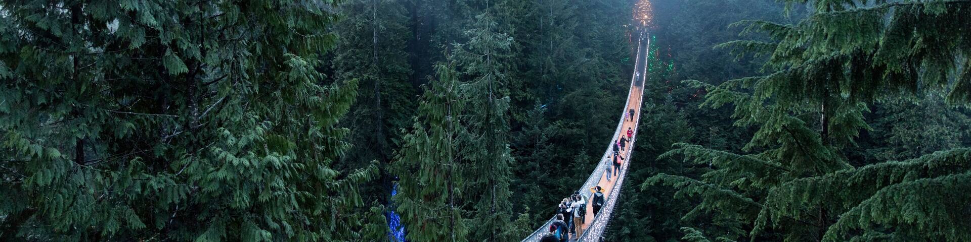 A suspension bridge in a dense forest with mist.
