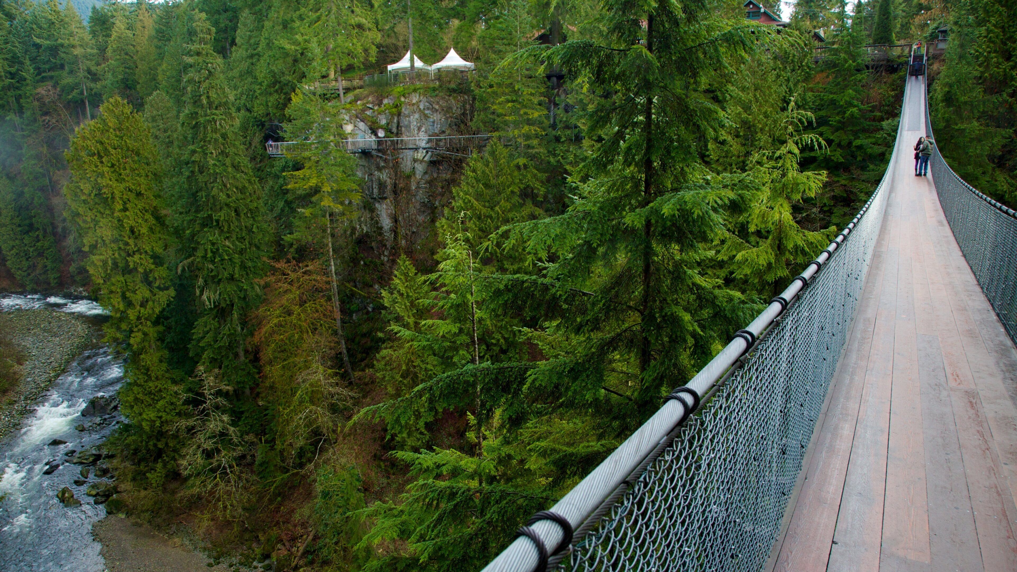Capilano Suspension Bridge featuring a suspension bridge or treetop walkway, forest scenes and rapids