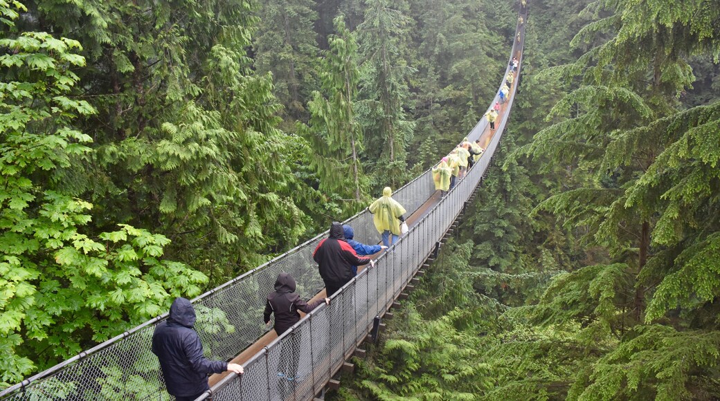Capilano Suspension Bridge