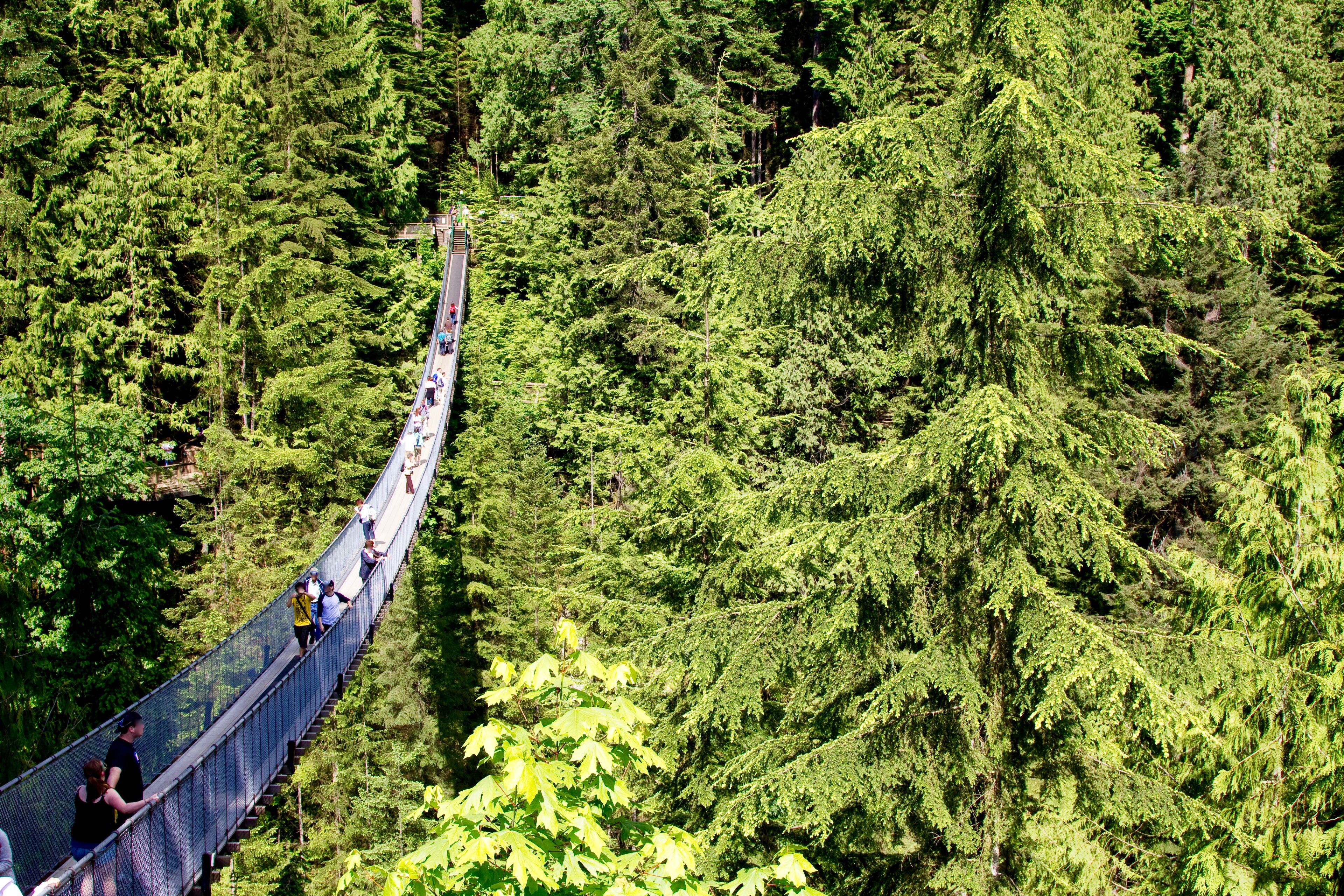 A front shot of the Capilano Suspension Bridge in Vancouver, Canada