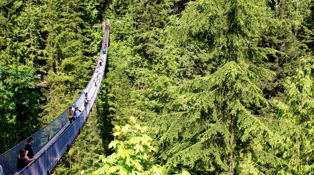 A front shot of the Capilano Suspension Bridge in Vancouver, Canada