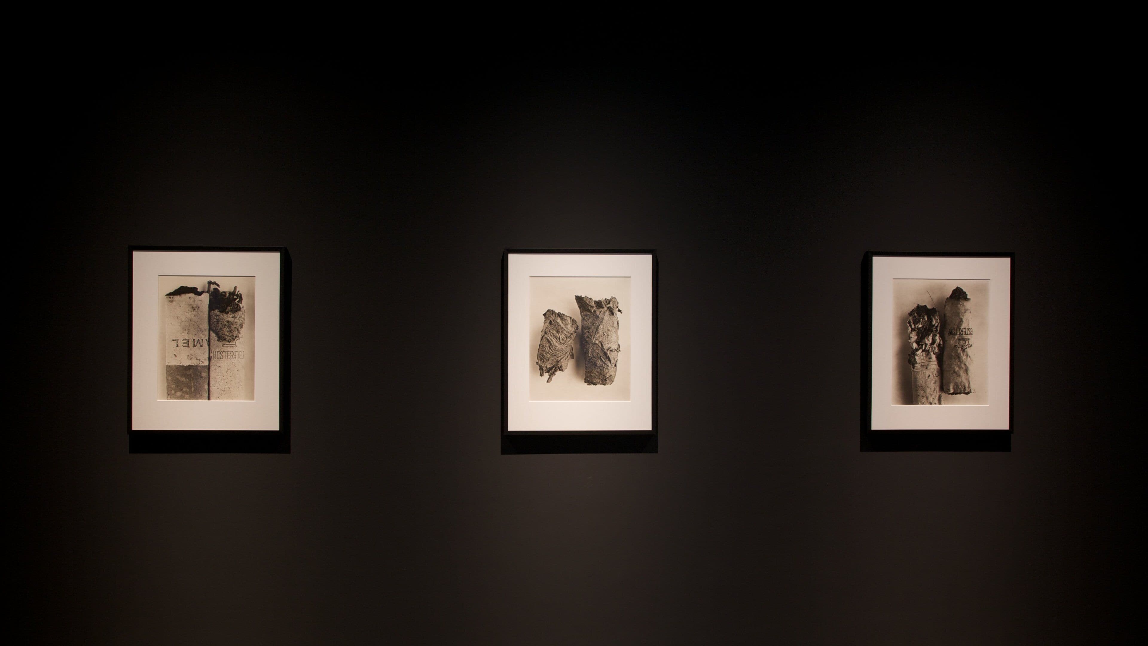 그라시 궁전 을 특징 예술