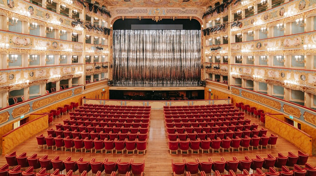 Teatro La Fenice which includes theater scenes and interior views