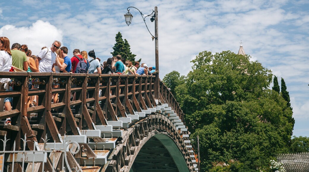 Teatro La Fenice featuring a bridge as well as a small group of people
